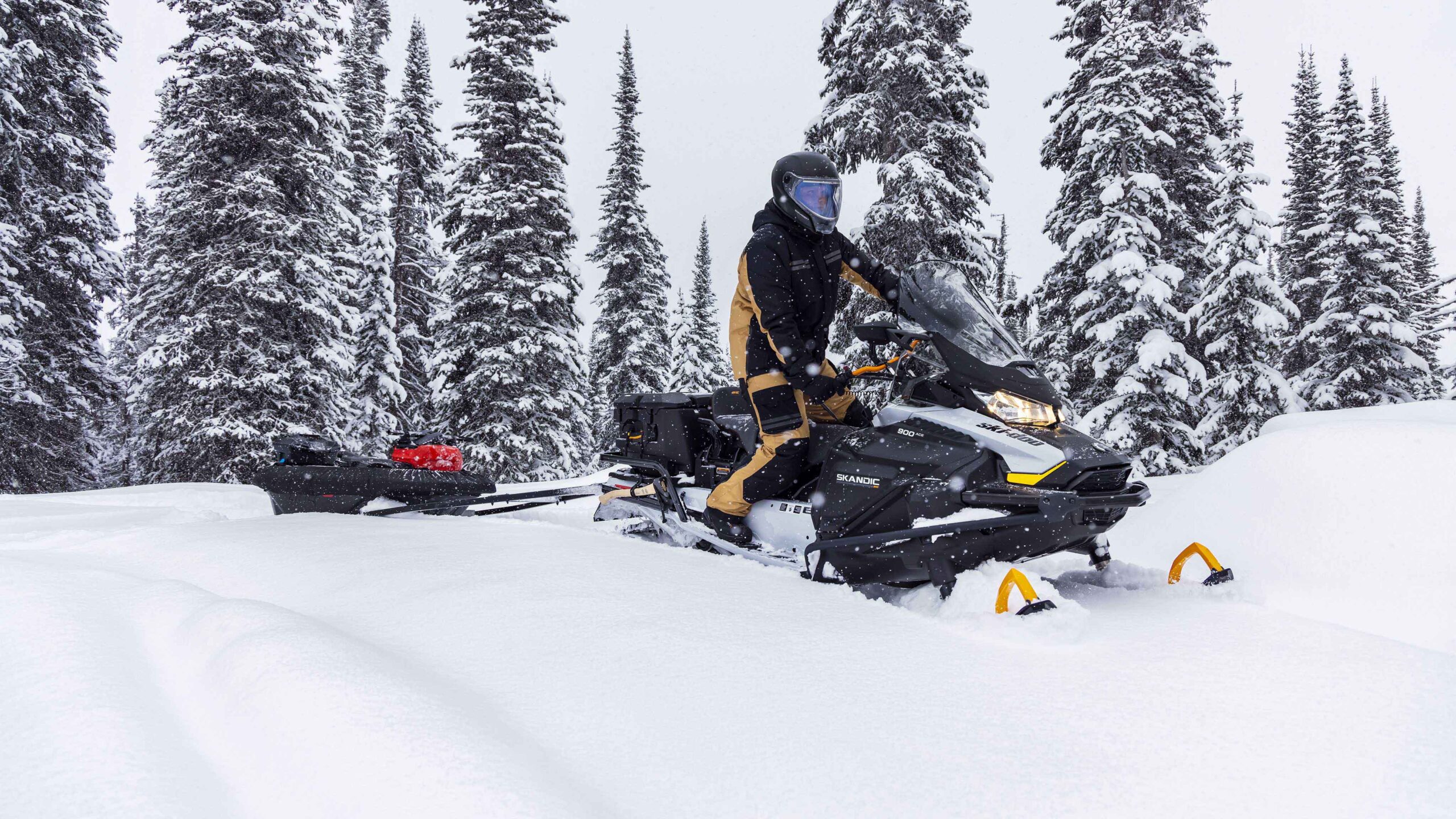 Ski-Doo Backcountry & Expedition — Off-Trail & Utility